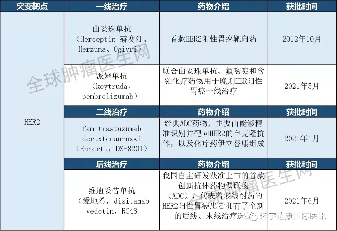 ​2021胃癌九大靶点全球新药研发进展大盘点(靶向、免疫)