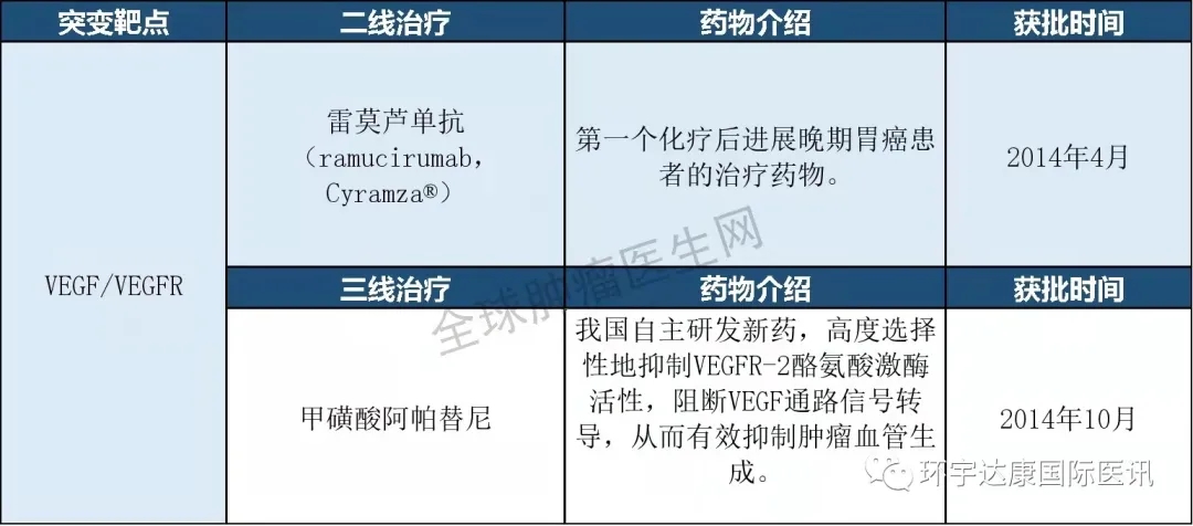 抗血管生成靶向药