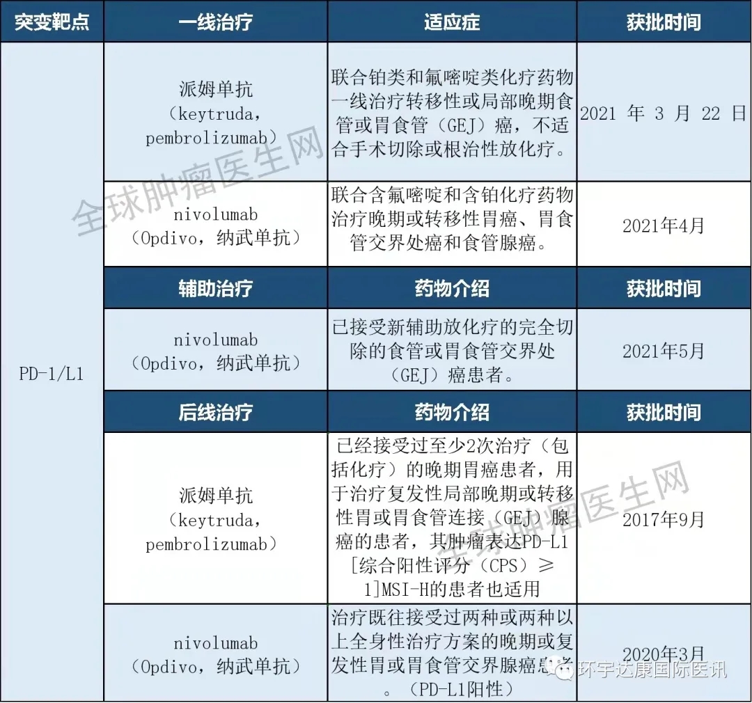 胃癌免疫药PD-1/PD-L1