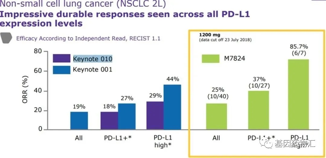 M7824治疗非小细胞肺癌的数据
