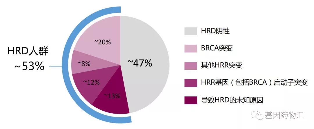 BRCA突变和HRD