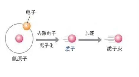 质子重离子原理