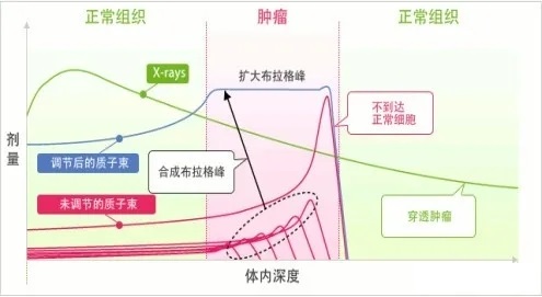 质子射线和X射线放射剂量对比