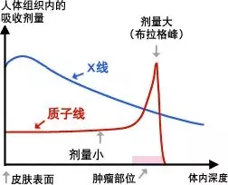 X射线和质子射线比较