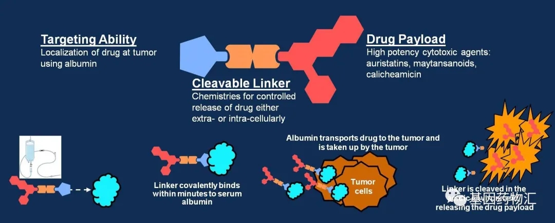 Aldoxorubicin分子结构