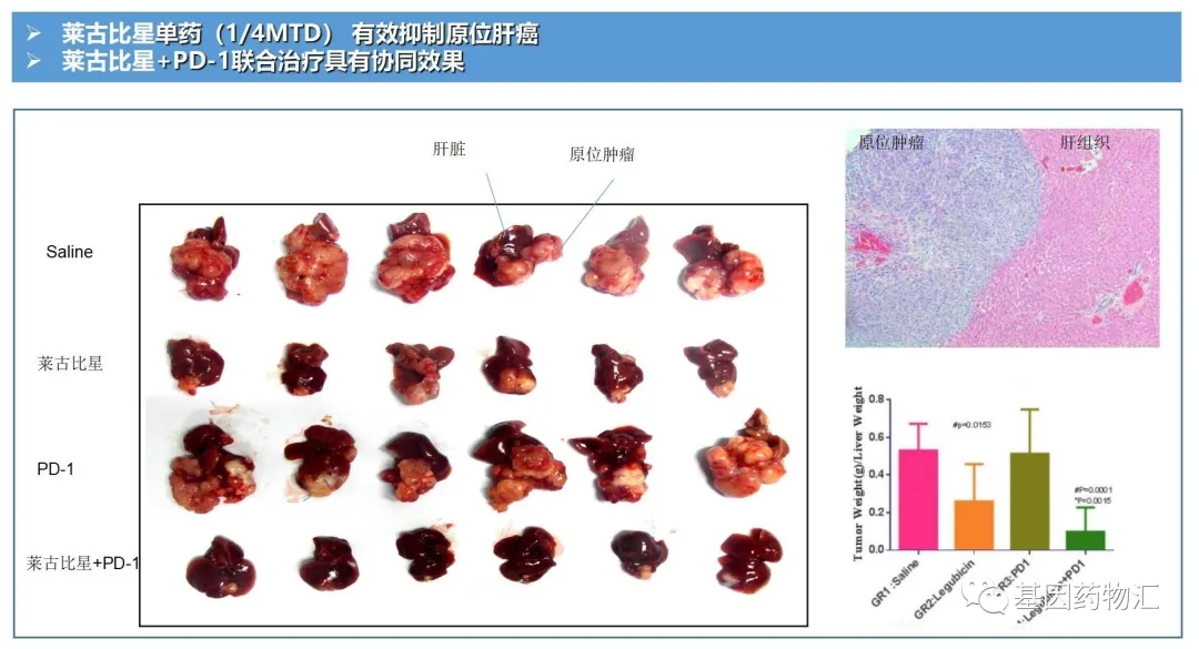 莱古比星单药和莱古比星联合PD-1治疗效果对比