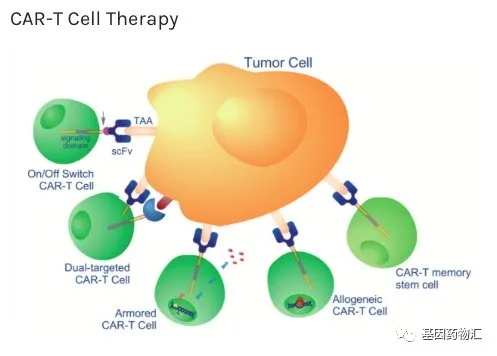 CAR-T