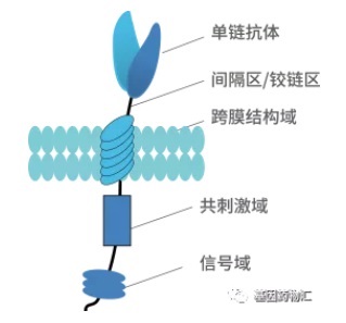 嵌合抗原受体