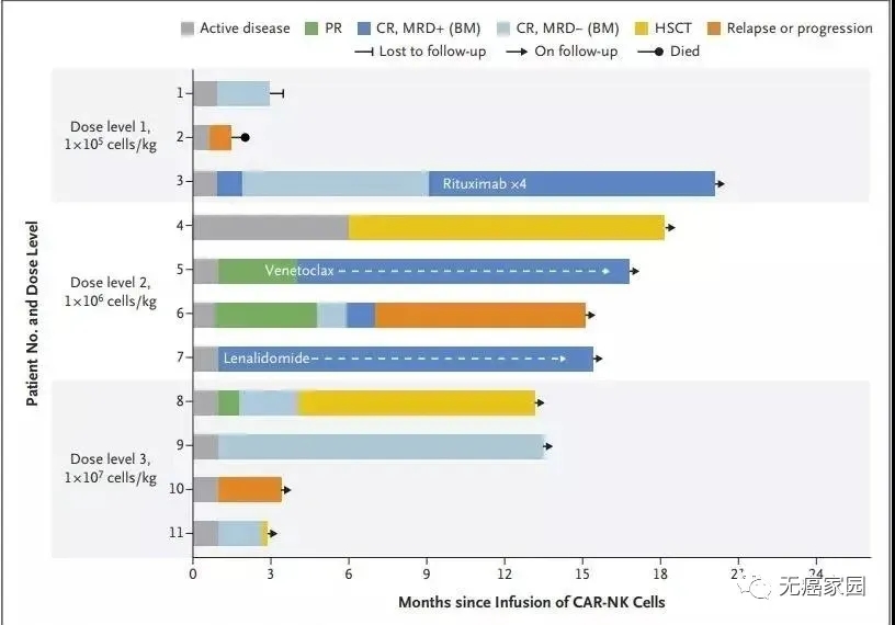 CAR-NK细胞治疗血液肿瘤的数据