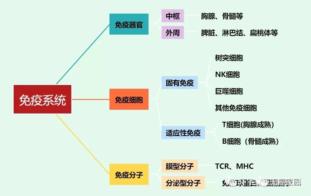 冬春交替,肿瘤患者免疫力下降!警惕!提升免疫力是防癌抗癌的关键!