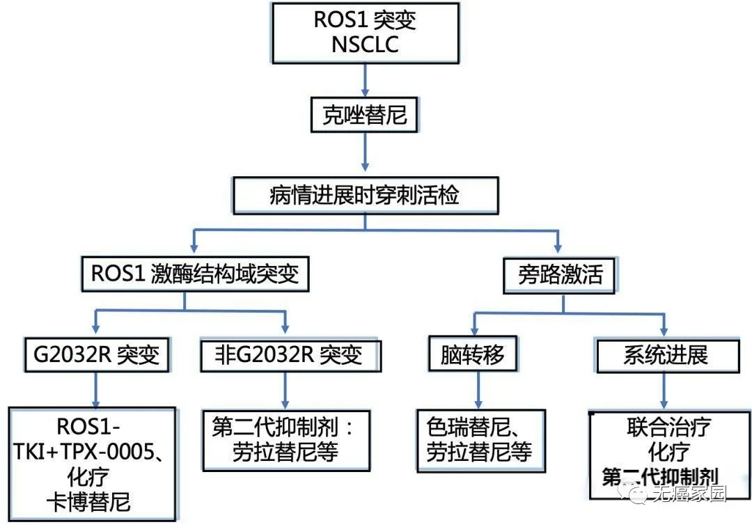 ROS1基因突变用什么药