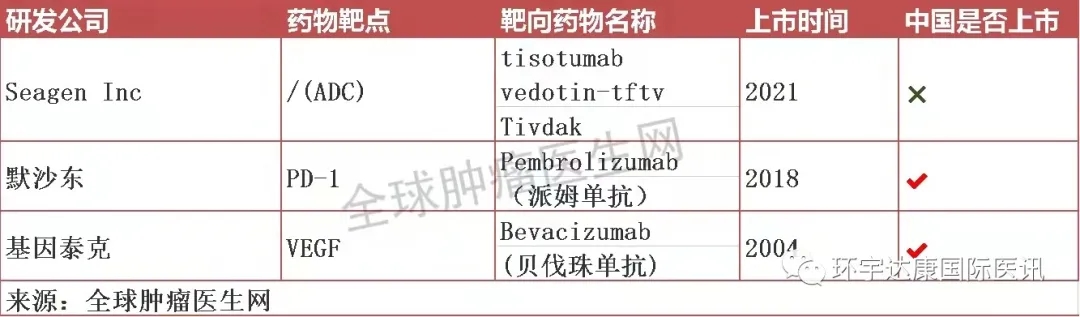 宫颈癌靶向和免疫治疗药物