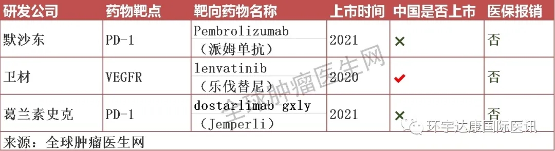 子宫内膜癌靶向和免疫治疗药物