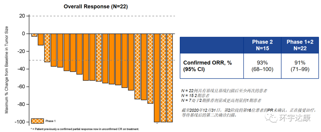 客观缓解率93%!新一代靶向药TPX-0005在华获突破性治疗认定​