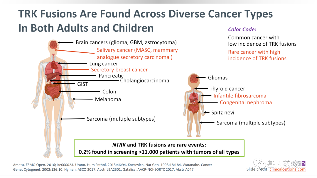 可能是NTRK融合突变引起的癌症有哪些