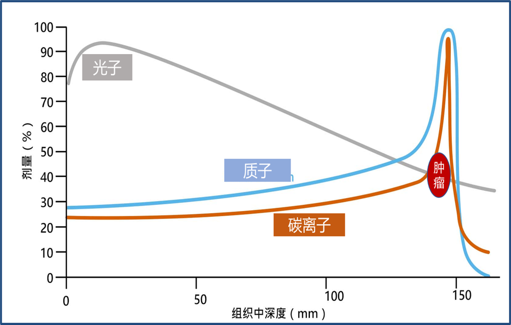 质子重离子射线“布拉格峰”能量释放轨迹