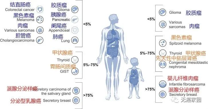 各癌种NTRK融合的概率