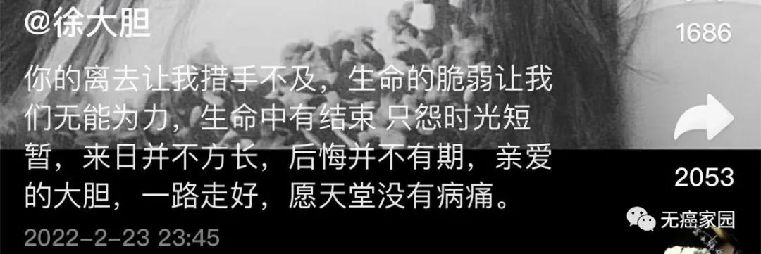 38岁抗癌博主徐大胆因宫颈癌去世,4年63次放疗30次化疗,还有哪些疗法可以尝试