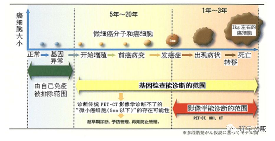 癌细胞最怕的三大"天敌",每个人体内都有!如何激活它们清除肿