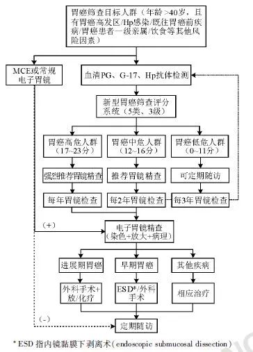 中国早期胃癌筛查流程