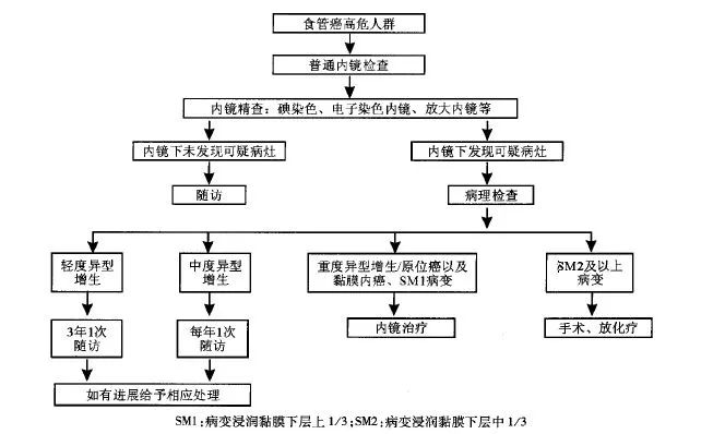 中国早期食管癌筛查及内镜诊治