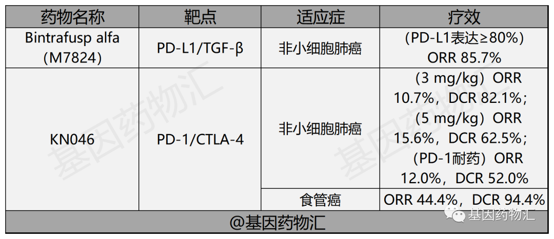 双免疫疗法