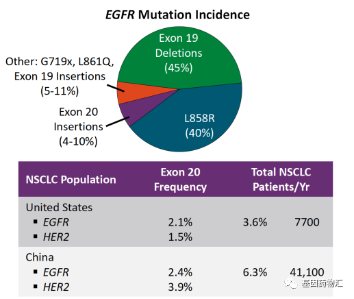EGFR各亚型突变概率