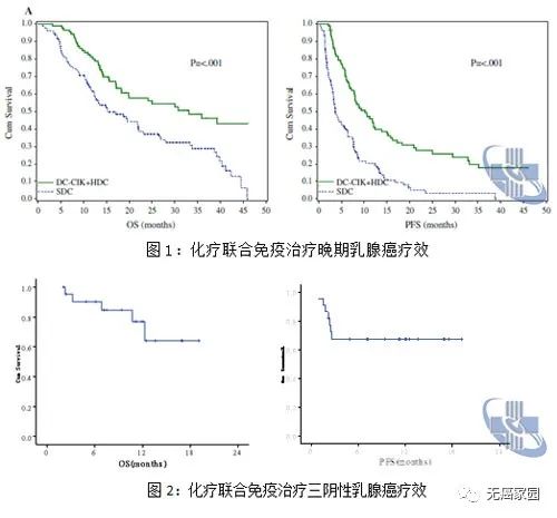 化疗联合细胞免疫治疗乳腺癌的数据