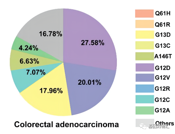 KRAS突变亚型及概率