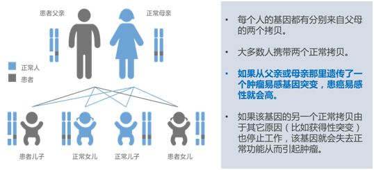 2022年4月5日全国肿瘤防治宣传周第一弹!守护肿瘤患者家人!远离家族"