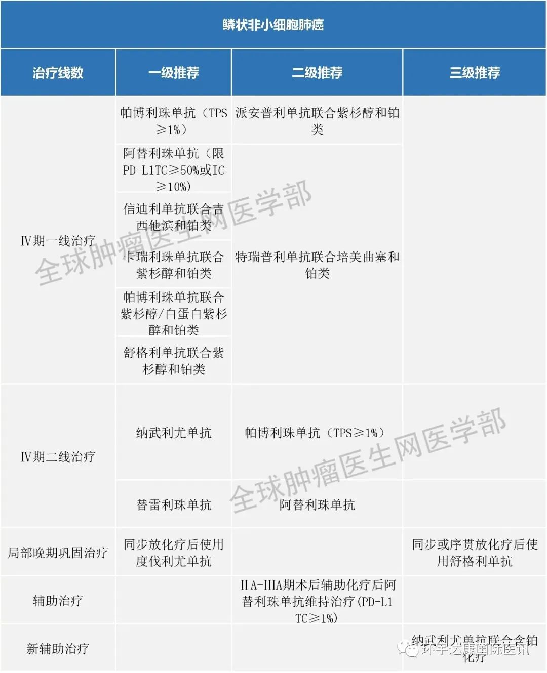 鳞状非小细胞肺癌免疫治疗指南