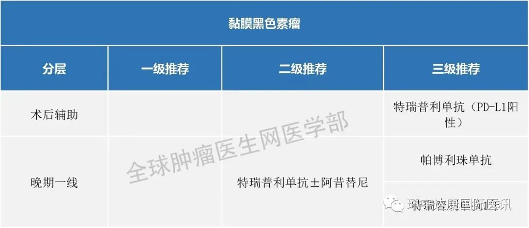 黏膜黑色素瘤免疫治疗指南