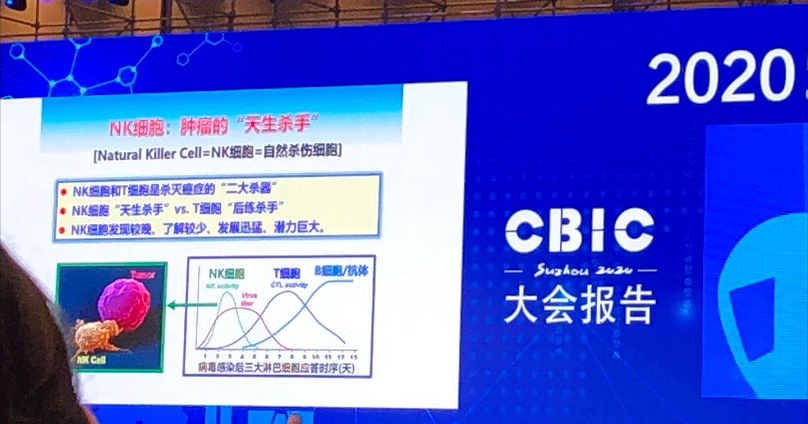 CBIC大会介绍NK细胞疗法