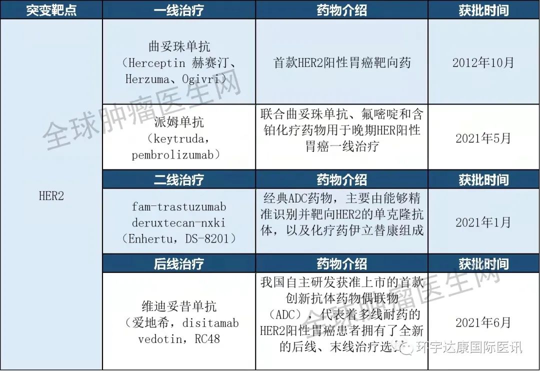 获批的HER2胃癌治疗方案