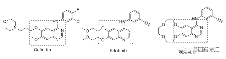 厄洛替尼、吉非替尼、埃克替尼分子结构