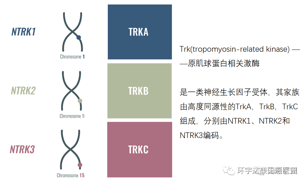 所有癌症患者都应该检测的泛癌种"钻石"靶点NTRK,中美15