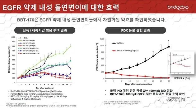 第四代EGFR抑制剂即将亮相!奥希替尼耐药的患者有哪些选择?