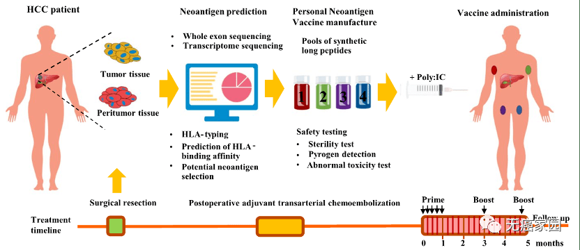 个体化新抗原疫苗的输注方案