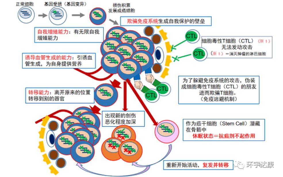 癌细胞是怎么形成的图片