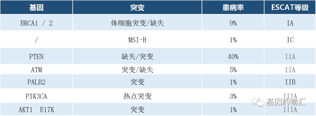 前列腺癌基因突变靶点