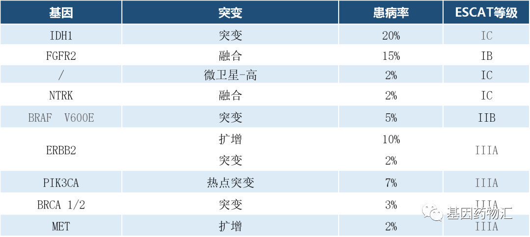 晚期胆管癌基因突变靶点