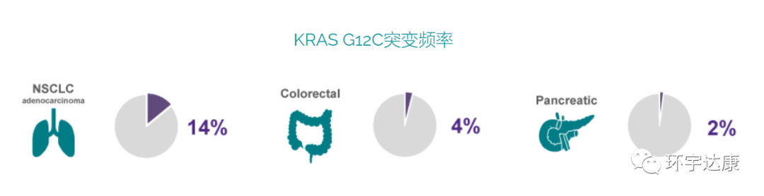 84.2%胰腺癌患者肿瘤缩小!KRAS抑制剂Sotorasib强效逆转生存期