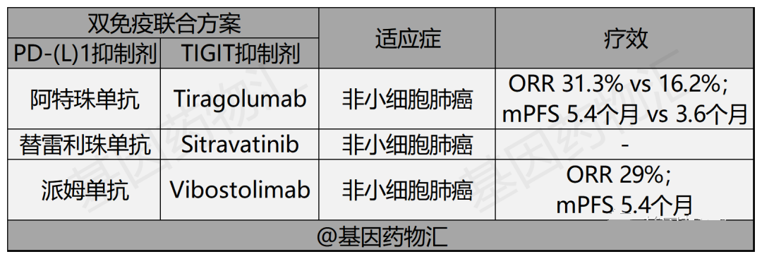 双免疫治疗方案