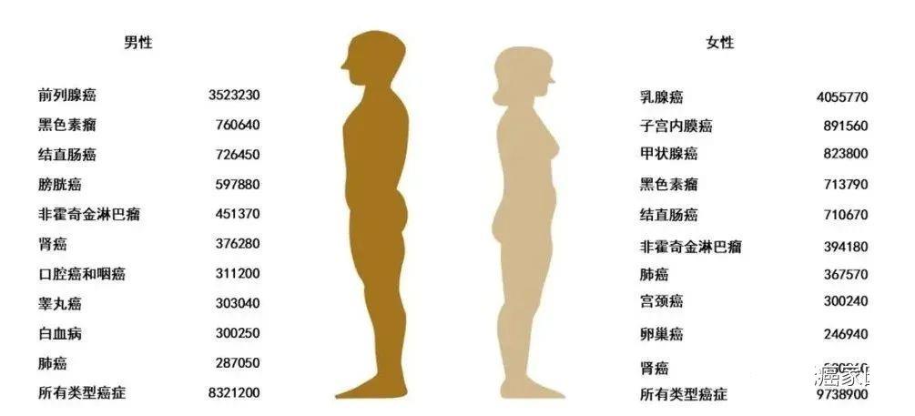 不同性别不同癌种的癌症幸存者数据