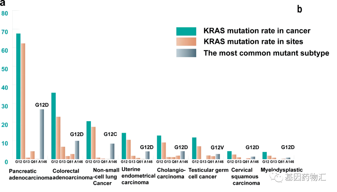 KRAS突变治疗数据