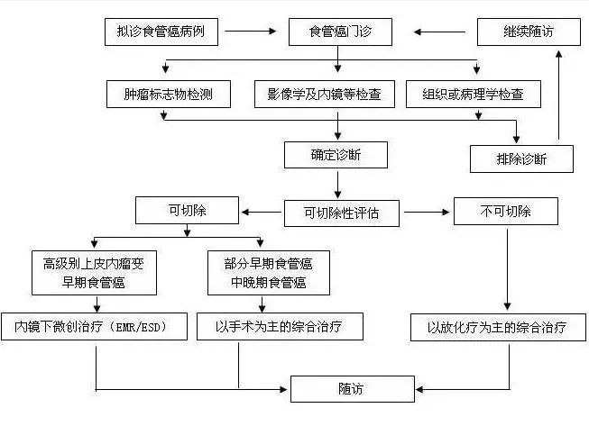 必读!不同时期食管癌的放疗策略选择与正常组织限量