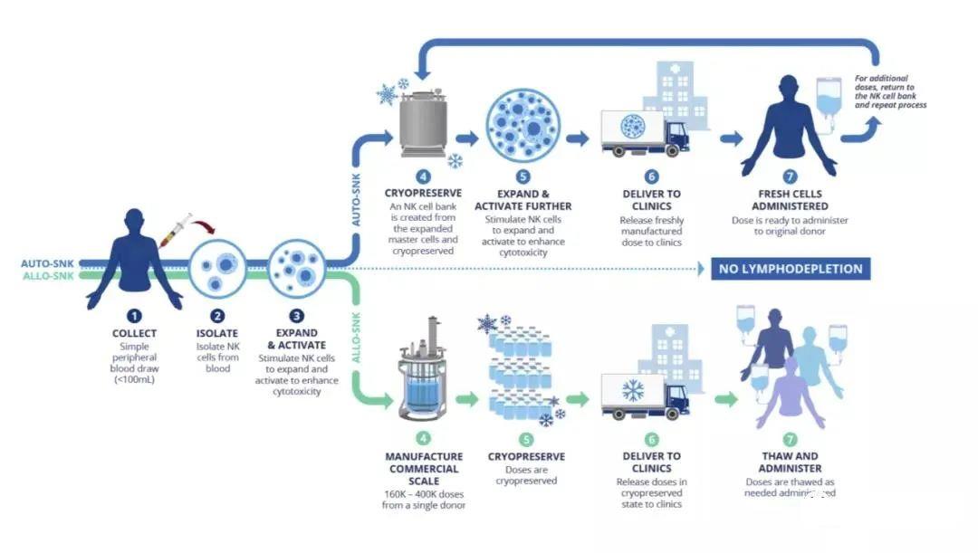 NK细胞免疫疗法治疗流程