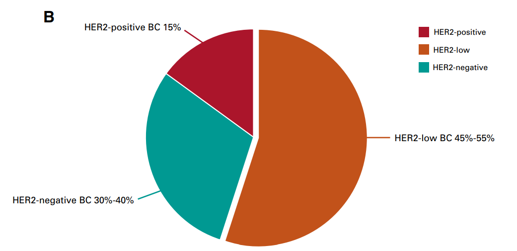 乳腺癌中HER2表达的分布情况