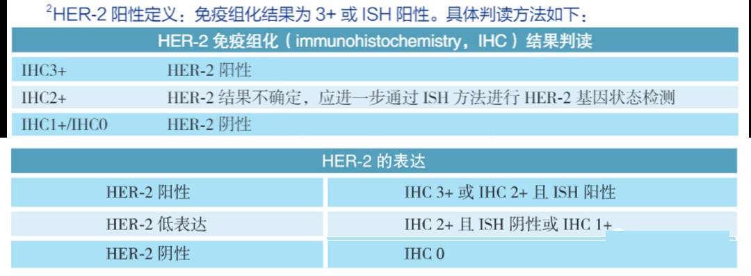 HER2的三分法时代