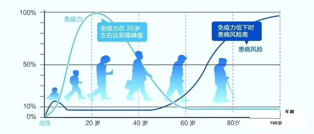 免疫力和年龄的关系